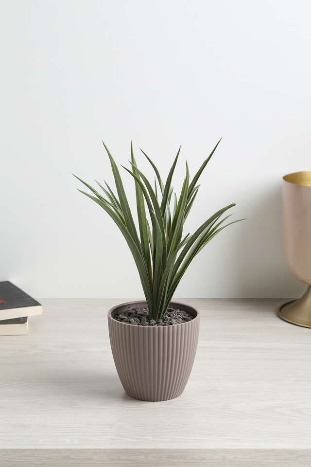 Mini-Ribbed-Plastic-Suclnt-Grn-Bush