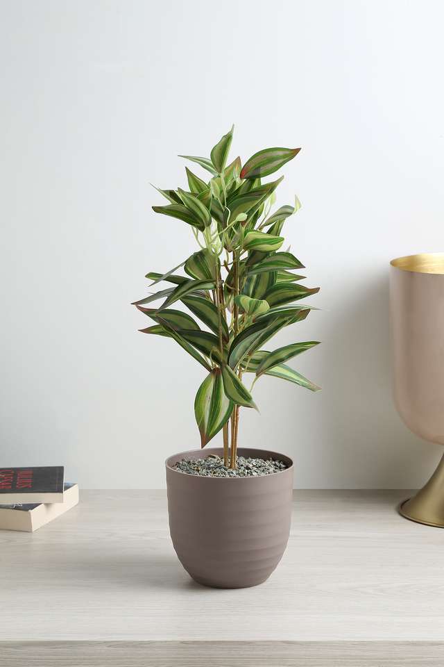Cement-Finish-Potted-Plants-Guaena
