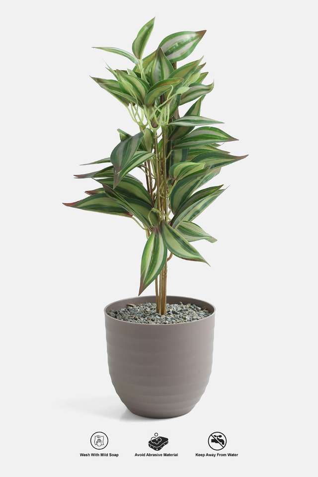 Cement-Finish-Potted-Plants-Guaena