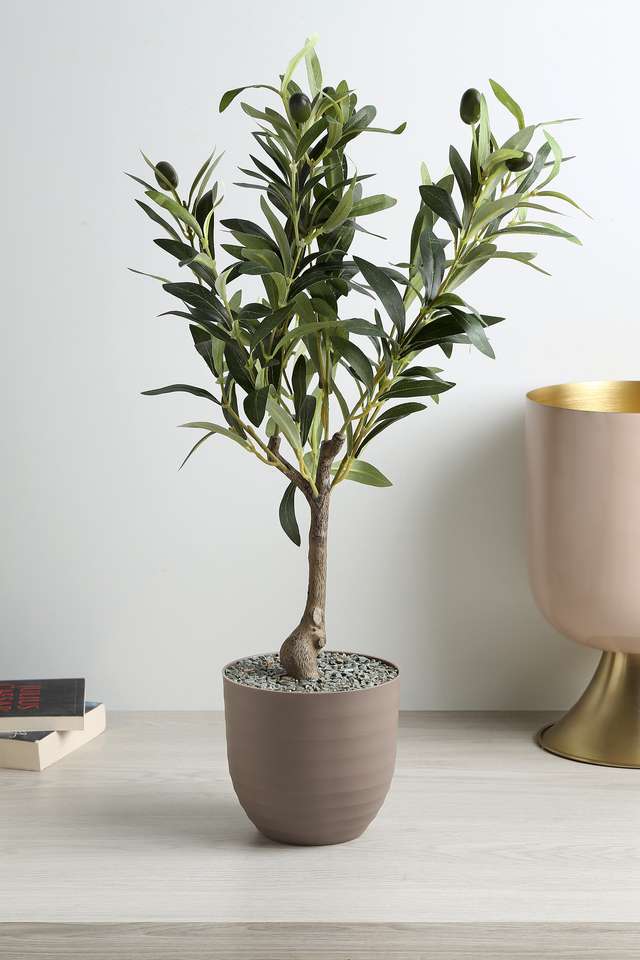 Cement-Finish-Plastic-Potted-Olive-Plant