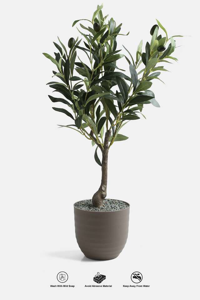 Cement-Finish-Plastic-Potted-Olive-Plant