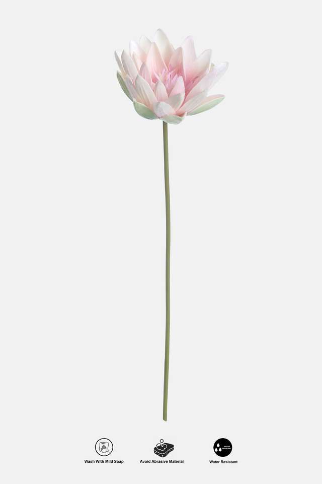 Lotus-Single-Blossom-Pink