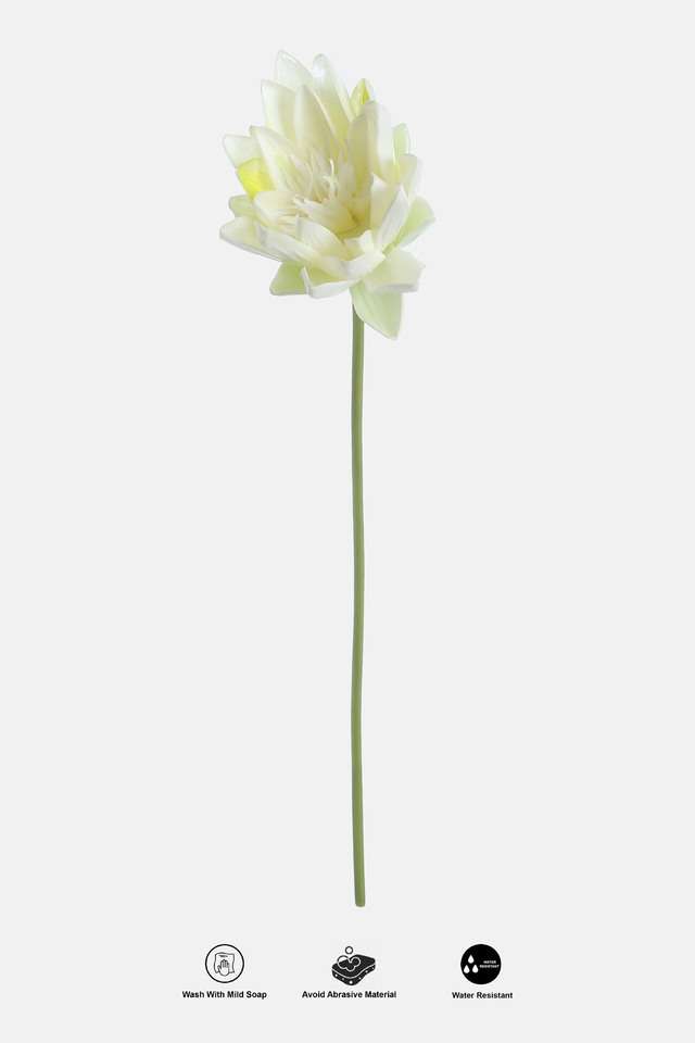 Lotus-Single-Blossom-White