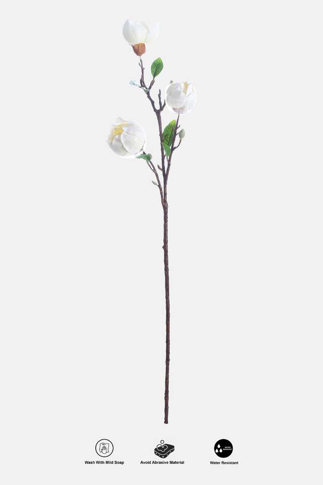 Magnolia-Spray-White