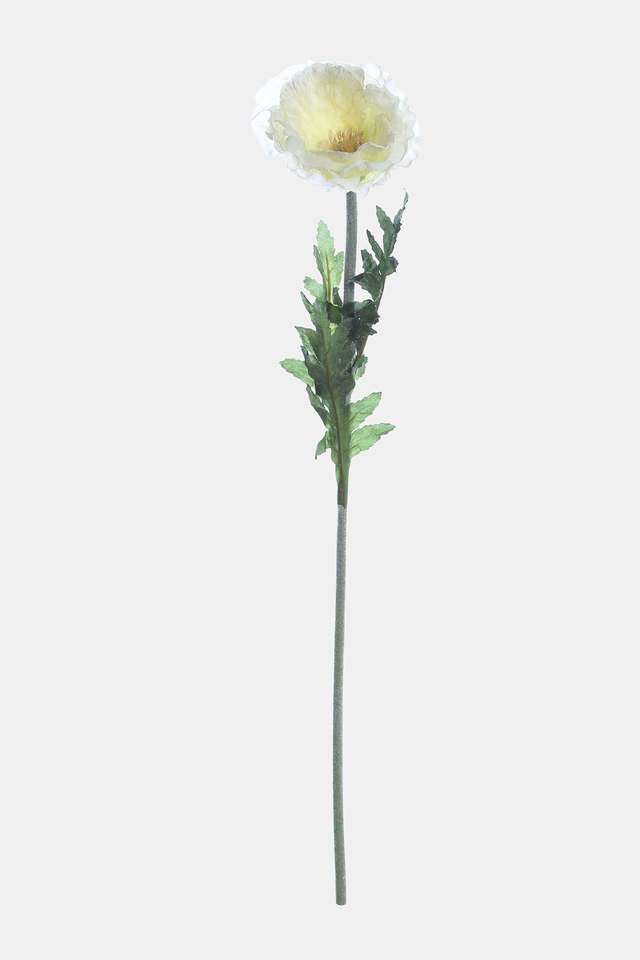 Single-Poppy-Tall-White