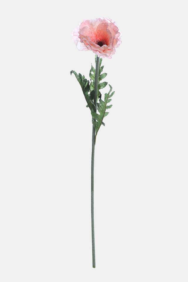 Single-Poppy-Tall-Pink