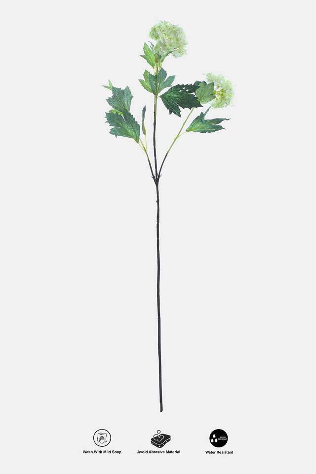 Dandelion-Snowball-Spray-Green