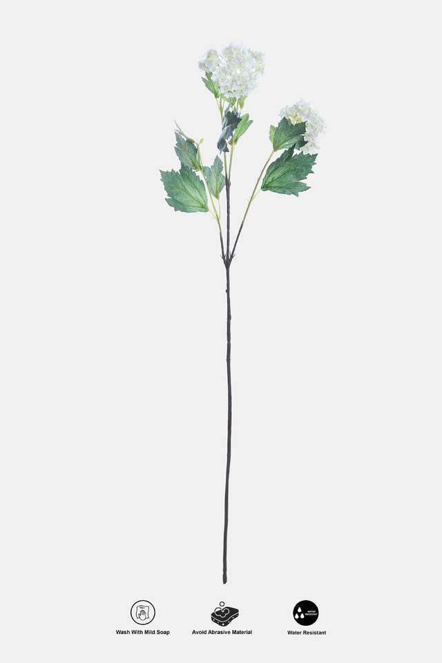 Dandelion-Snowball-Spray-White