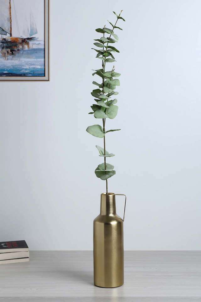 Eucalyptus-Stem