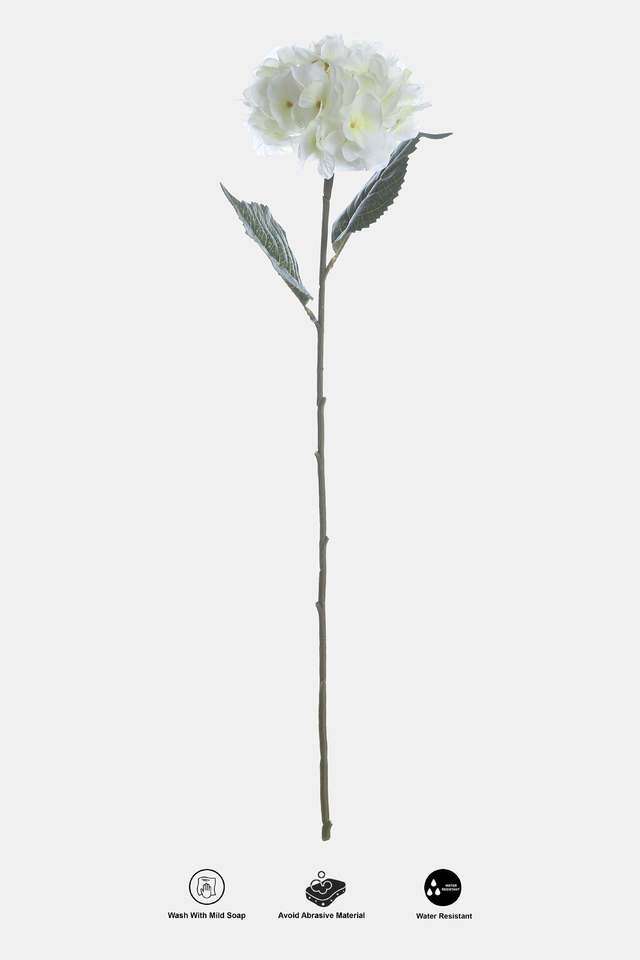 French-Hydrangea-Large-White