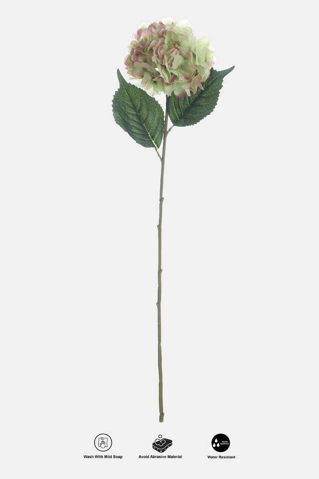 French-Hydrangea-Large-Green