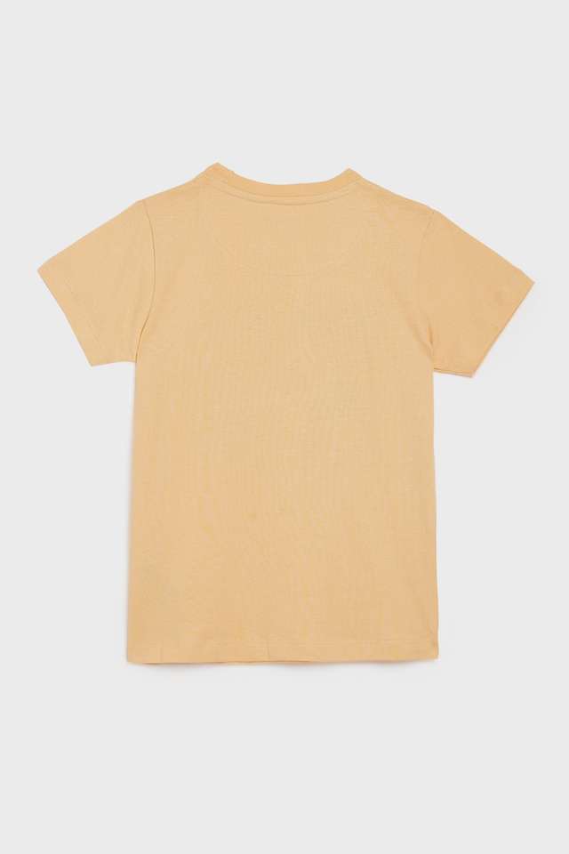 Graphic-Cotton-Round-Neck-Boys-T-Shirt