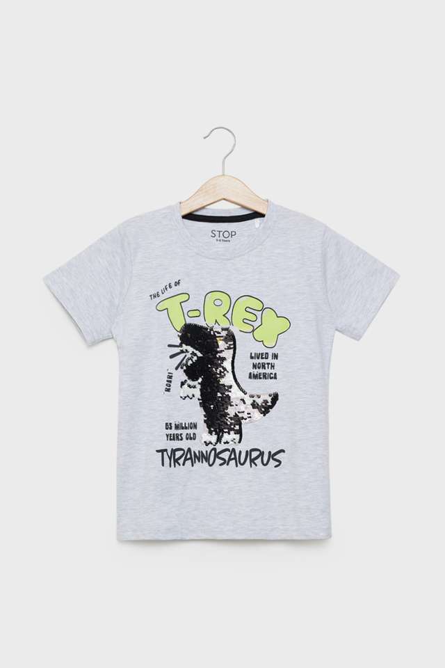 Graphic-Cotton-Round-Neck-Boys-T-Shirt
