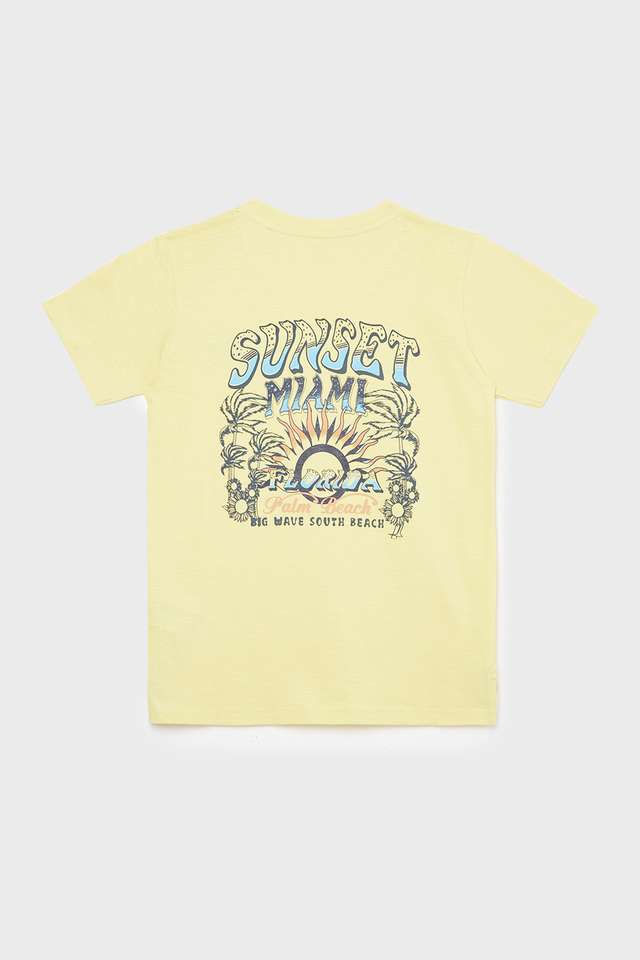 Graphic-Cotton-Round-Neck-Boys-T-Shirt