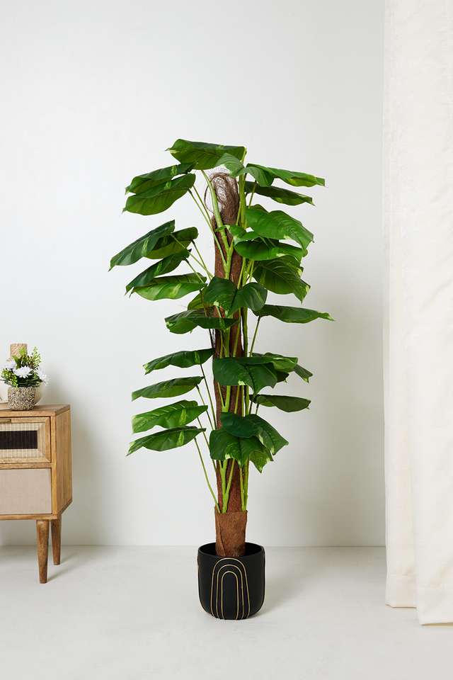 Pothos-Artificial-Tree