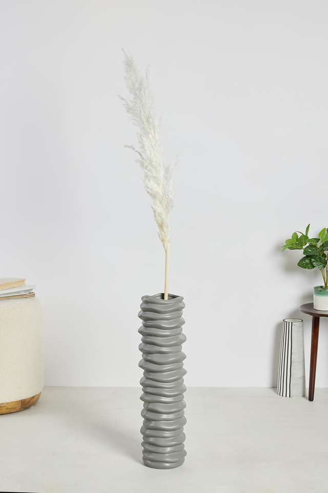 Modern-Tall-Dry-Pampus-Stem-White