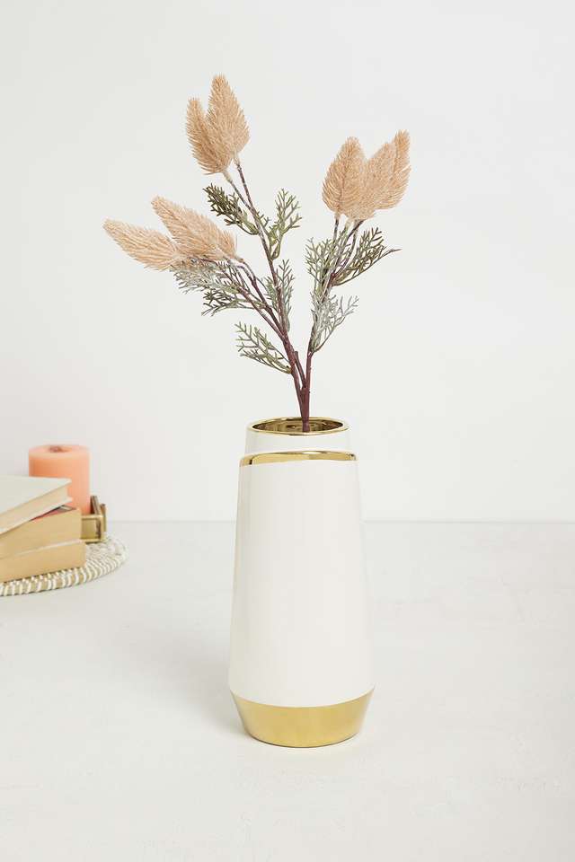 Modern-Dry-Bunny-Tail-Bunch-Tall-Neutral