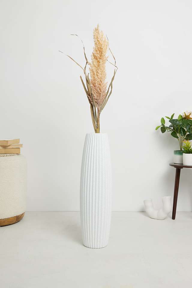 Modern-Dry-Pampus-Tall-Grass-Neutral