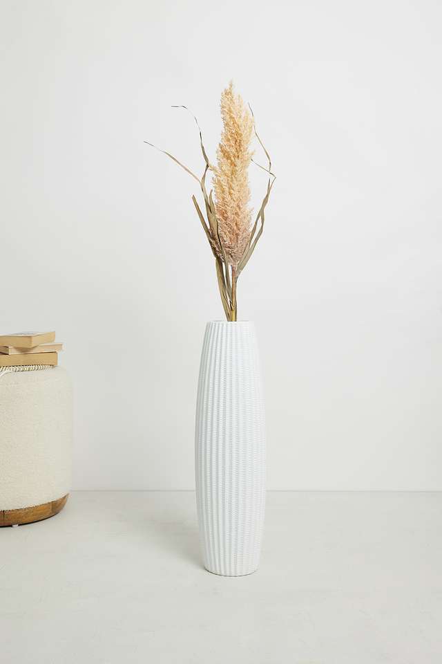 Modern-Dry-Pampus-Tall-Grass-Neutral
