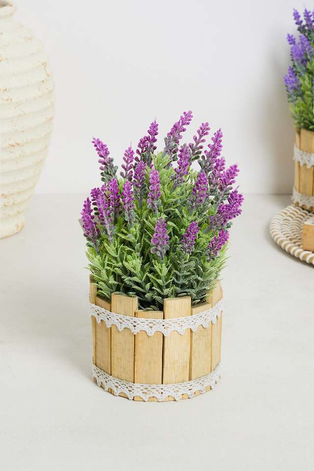 Gardenia-Potted-Fence-Wild-Flower