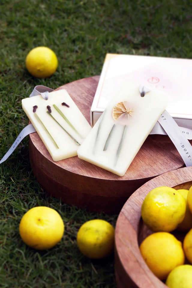 Scent-Wax-Tablet-Perfume-Infuse-Lemongrs