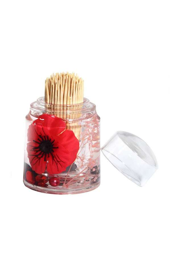 Agua-Acrylic-Acrylic-Toothpick-Holder-Red