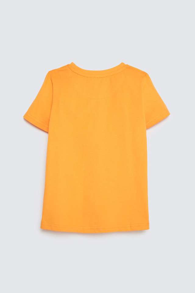 Graphic-Print-Cotton-Round-Neck-Boys-T-Shirt