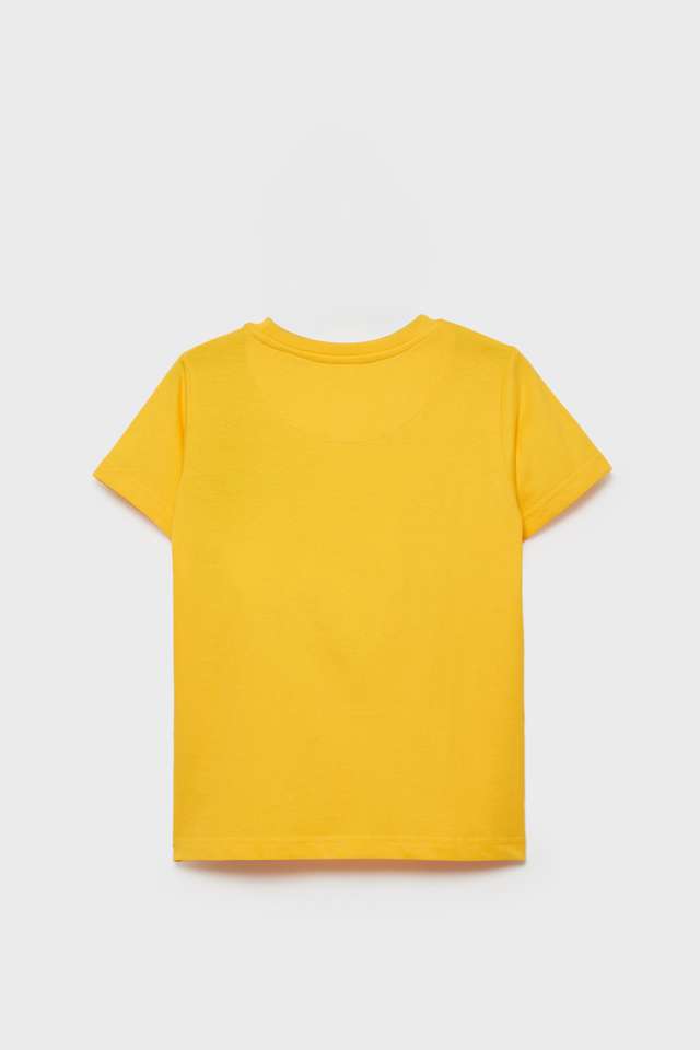 Graphic-Print-Cotton-Regular-Fit-Boys-T-Shirt