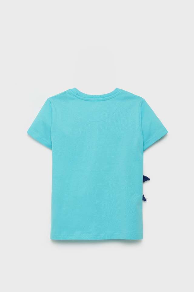 Graphic-Print-Cotton-Round-Neck-Boys-T-Shirt