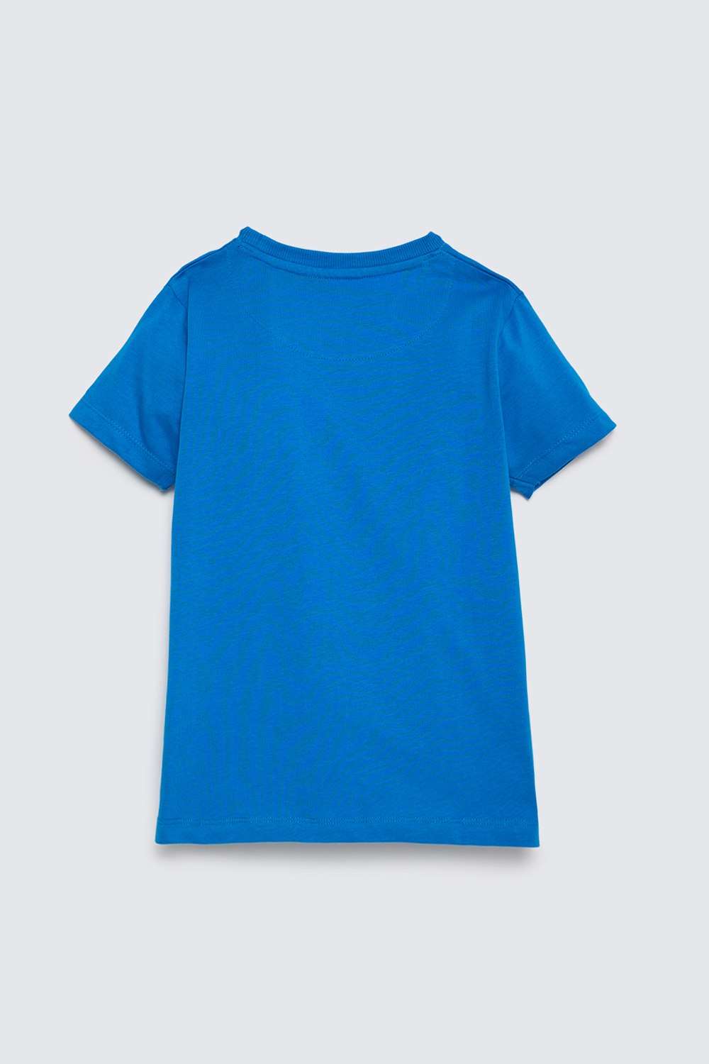 Graphic-Print-Cotton-Round-Neck-Boys-T-Shirt