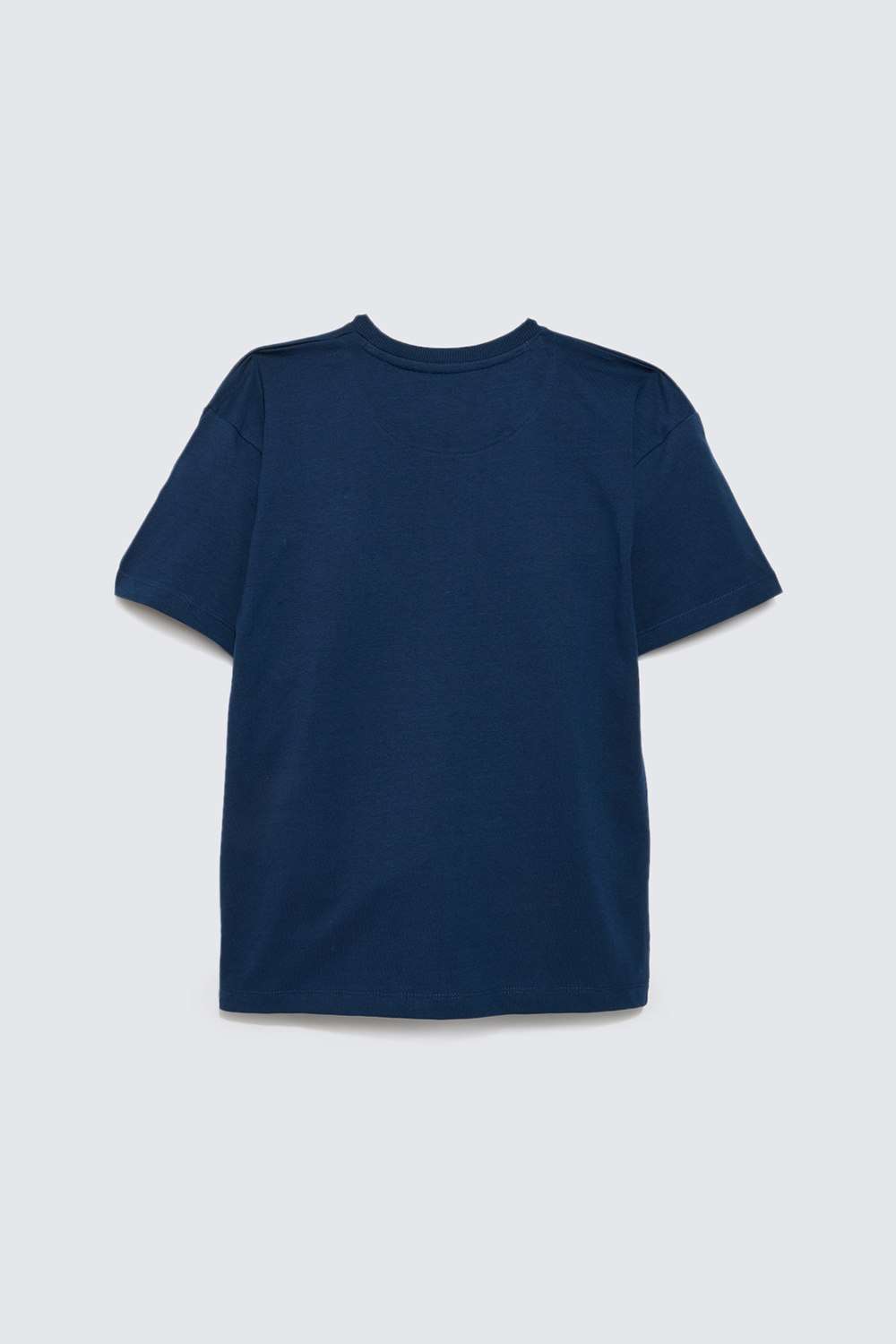 Graphic-Print-Cotton-Round-Neck-Boys-T-Shirt