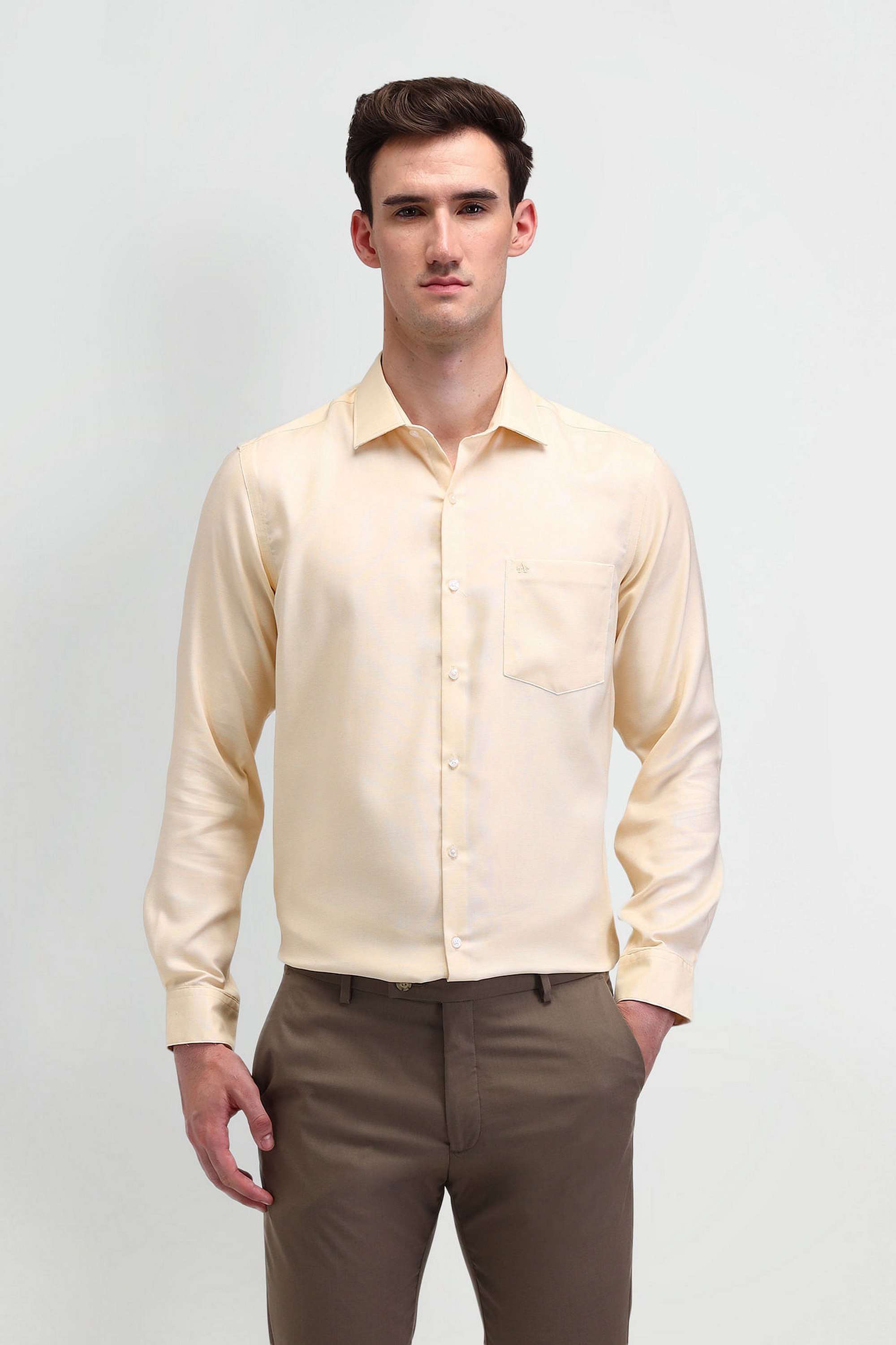 Solid-Cotton-Regular-Fit-Men-s-Formal-Shirt