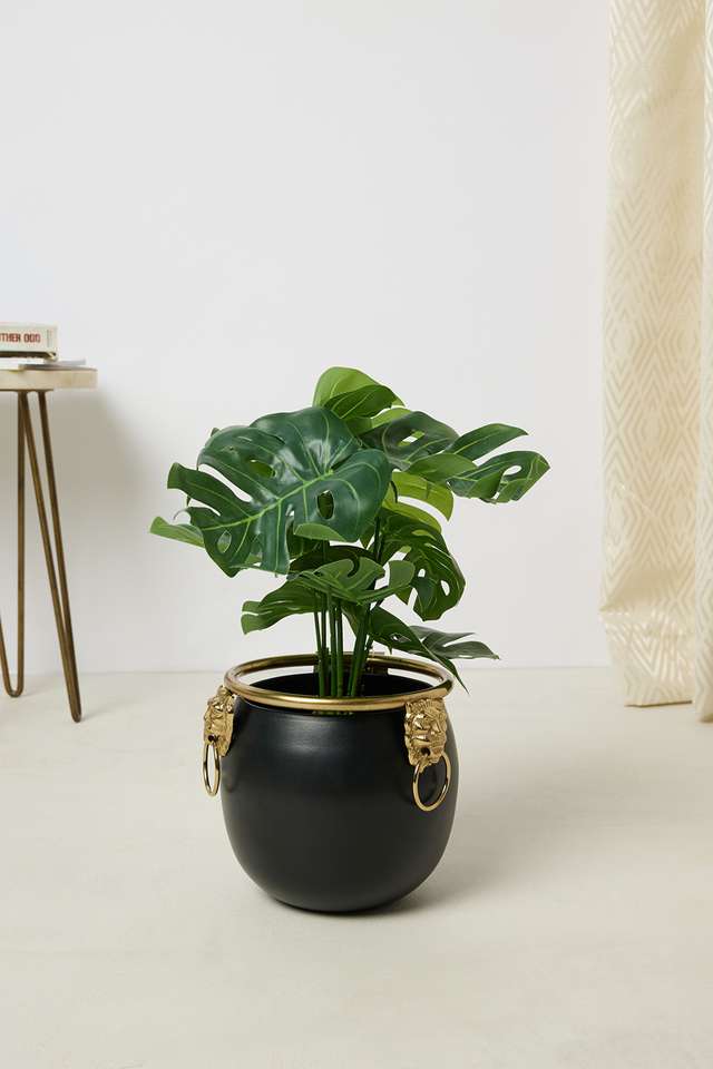 Everera-Monstera-Potted-Plant-Green-35Cm