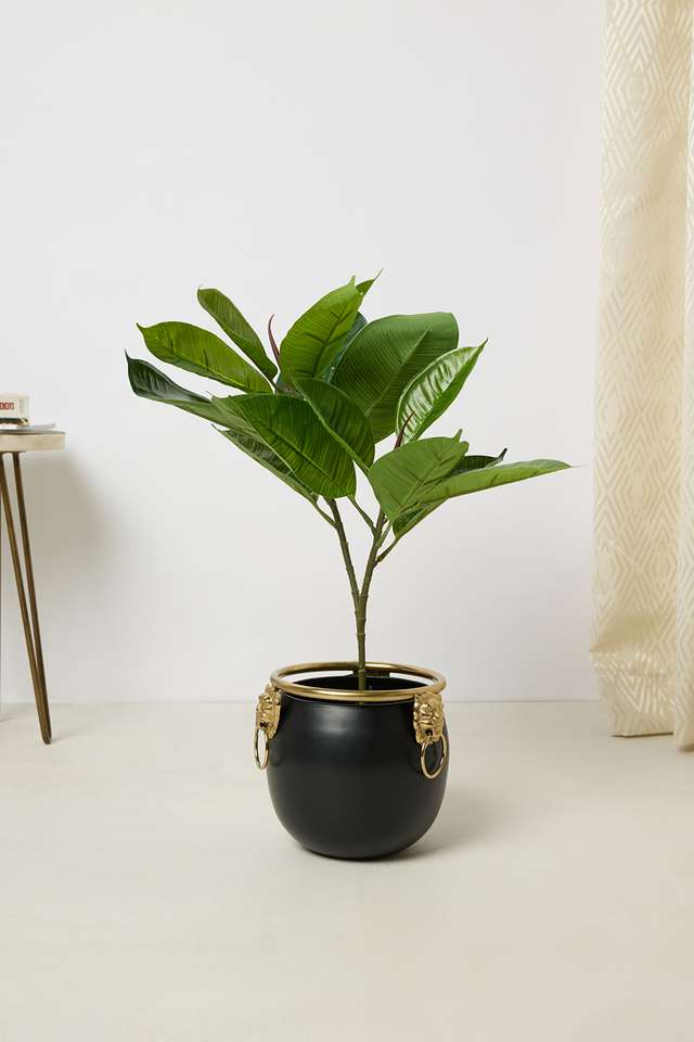 Everera-Rubber-Potted-Plant-Green-50Cm