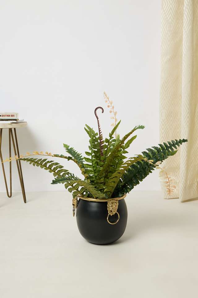 Everera-Fern-Potted-Plant-Green-50Cm