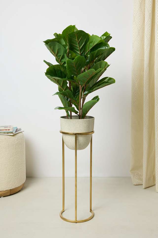 Everera-Fiddle-Potted-Plant-Green-70Cm