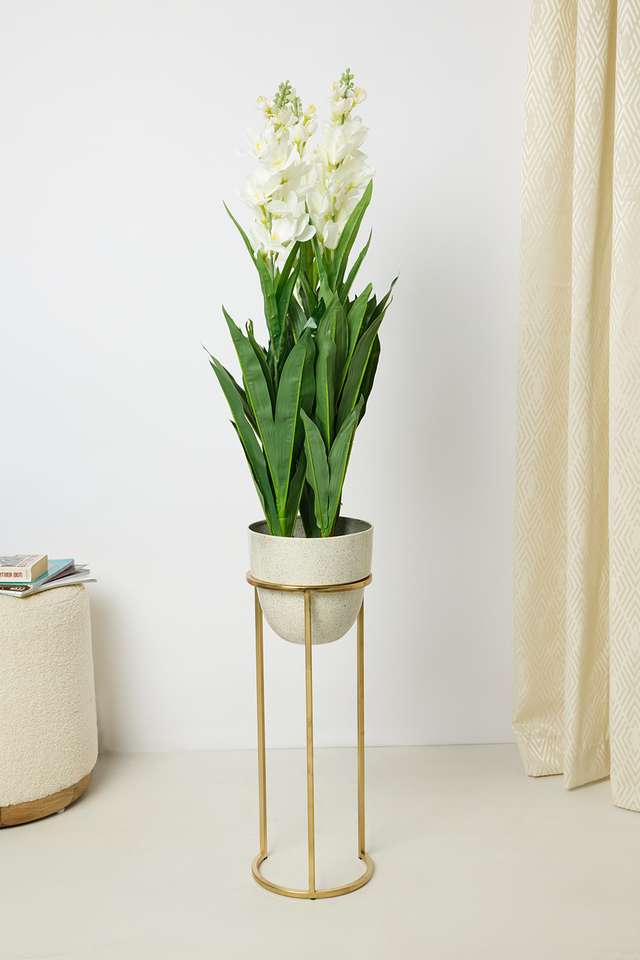 Everera-Anthrm-Floor-Potted-Plant-Green-White-90Cm