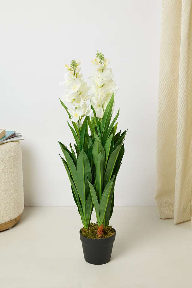 Everera-Anthrm-Floor-Potted-Plant-Green-White-90Cm