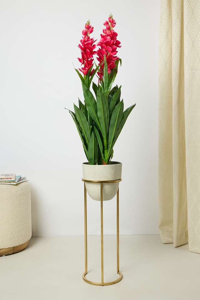 Everera-Anthrm-Floor-Potted-Plant-Green-Pink-90Cm