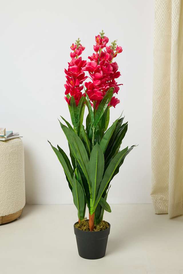 Everera-Anthrm-Floor-Potted-Plant-Green-Pink-90Cm