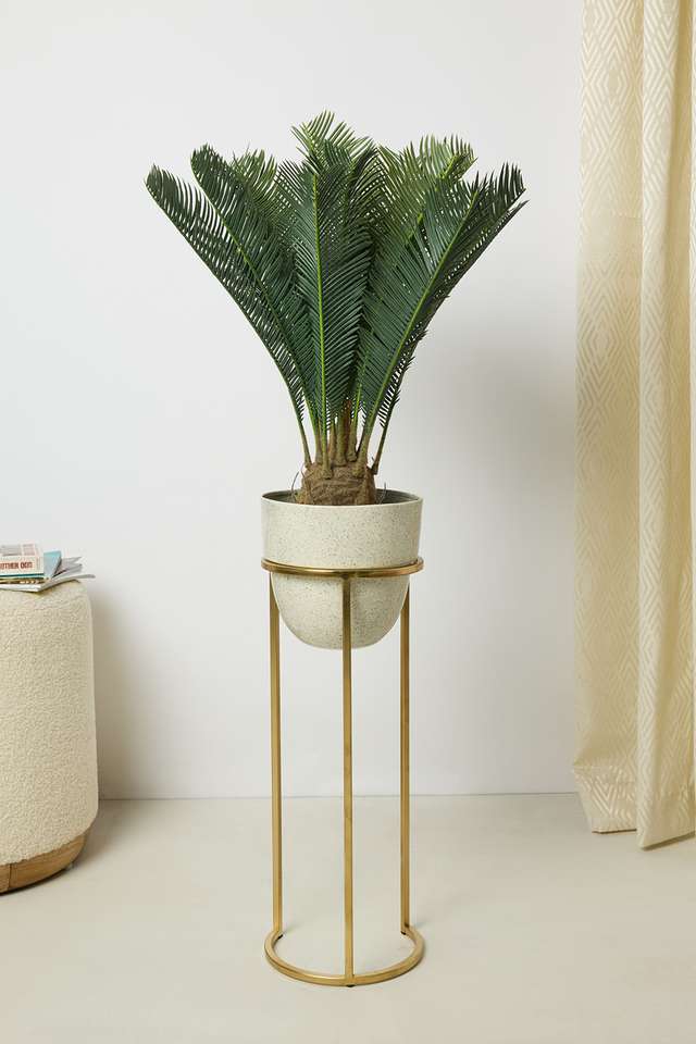 Everera-Cycus-Potted-Plant-Green-Pink-60Cm