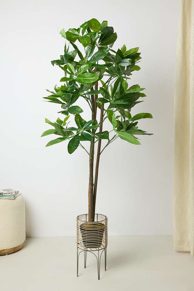Everera-Schefflera-Potted-Tree-Green-150Cm