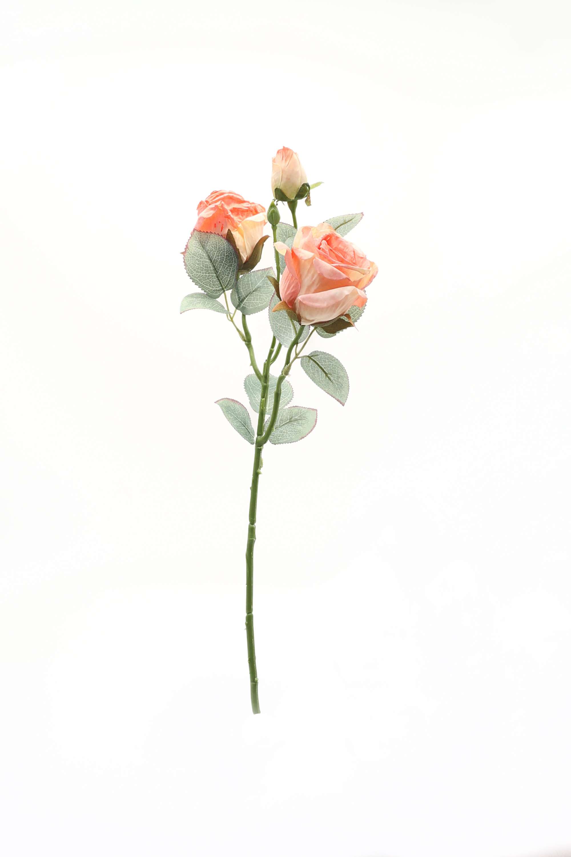 Florasilk-rose-flower-stem-peach-50CM