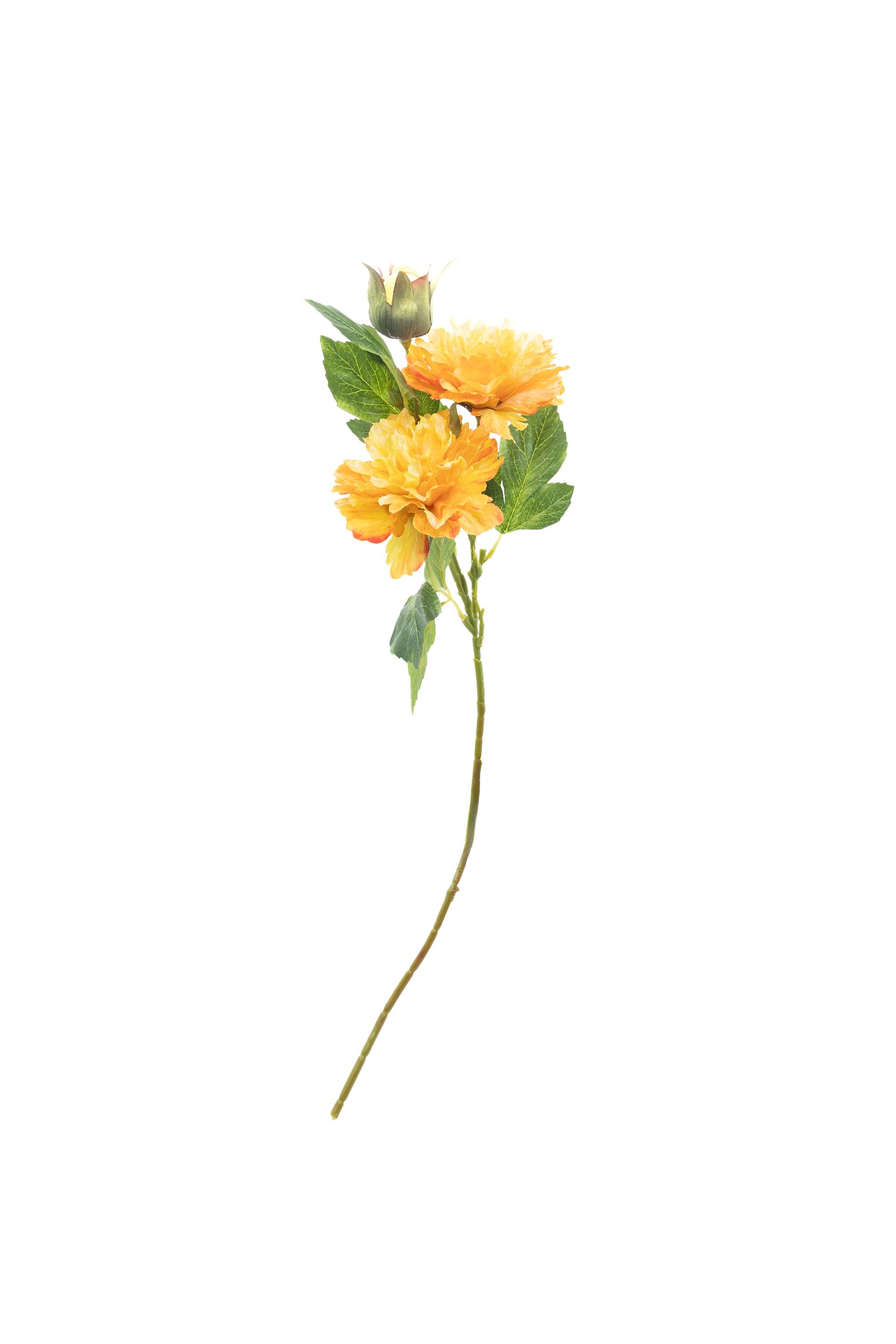 Florasilk-peony-flower-stem-yellow-70CM