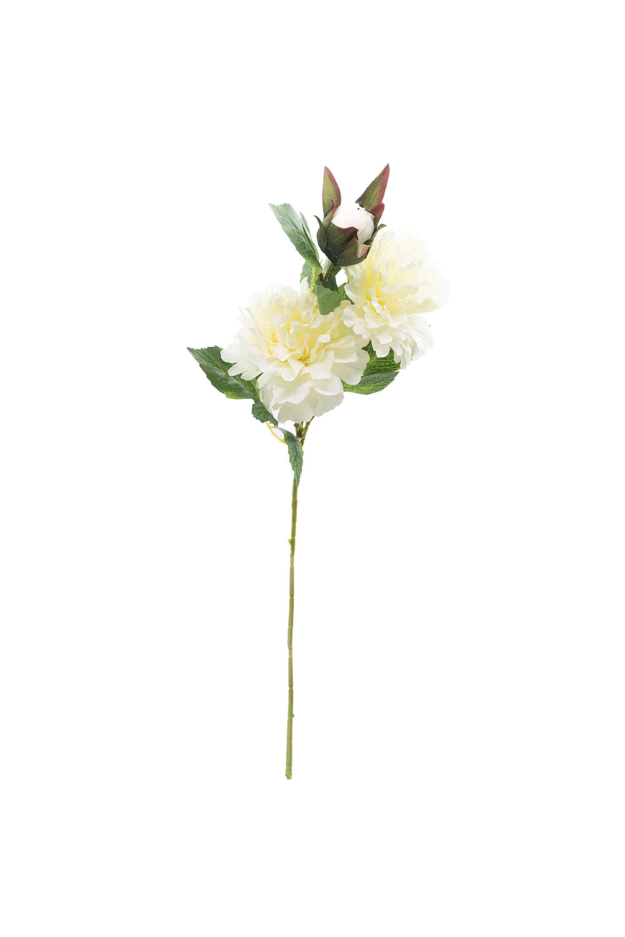 Florasilk-peony-flower-stem-white-70CM