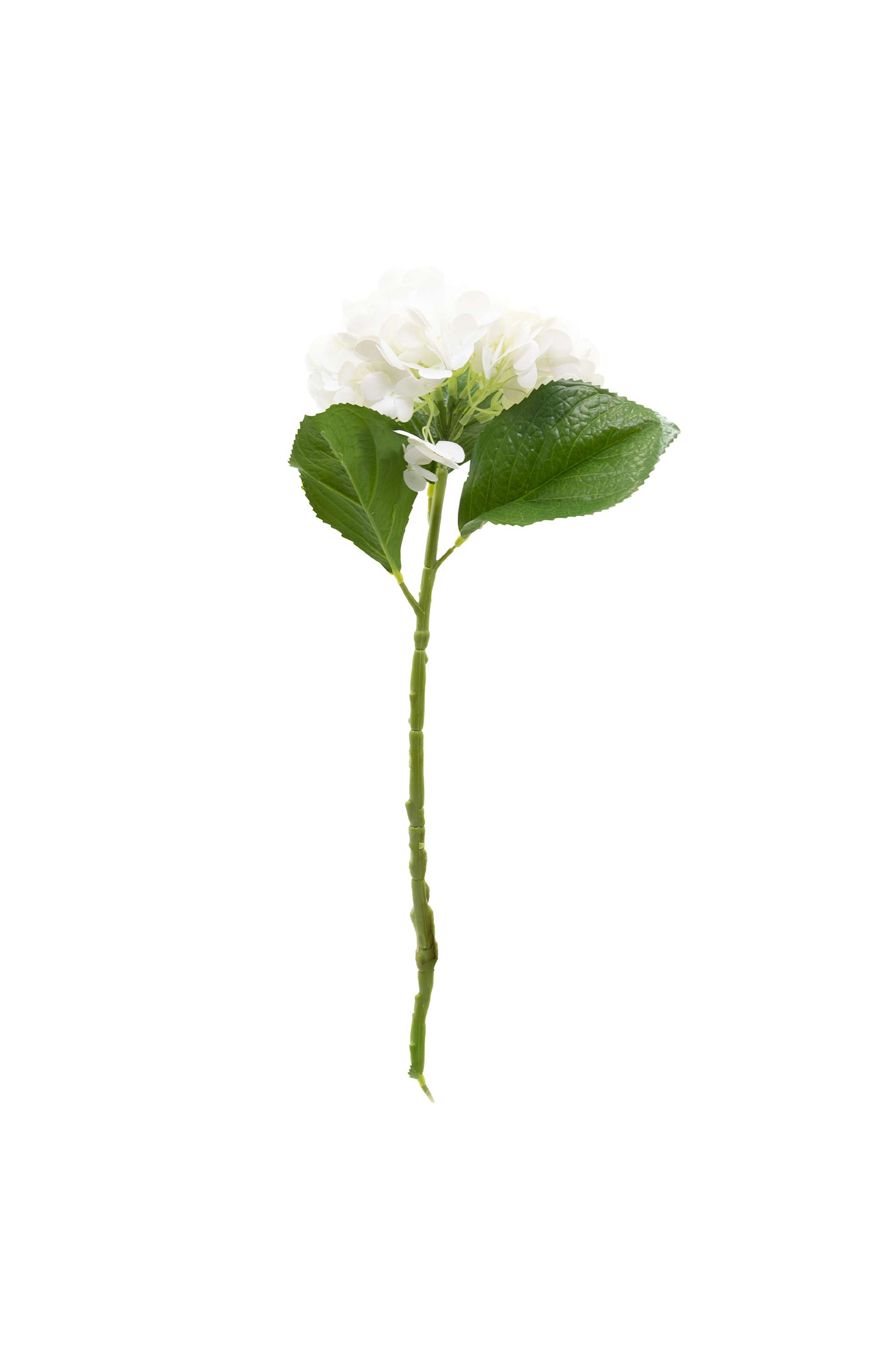 Florasilk-hydrangea-flower-stem-white-50CM