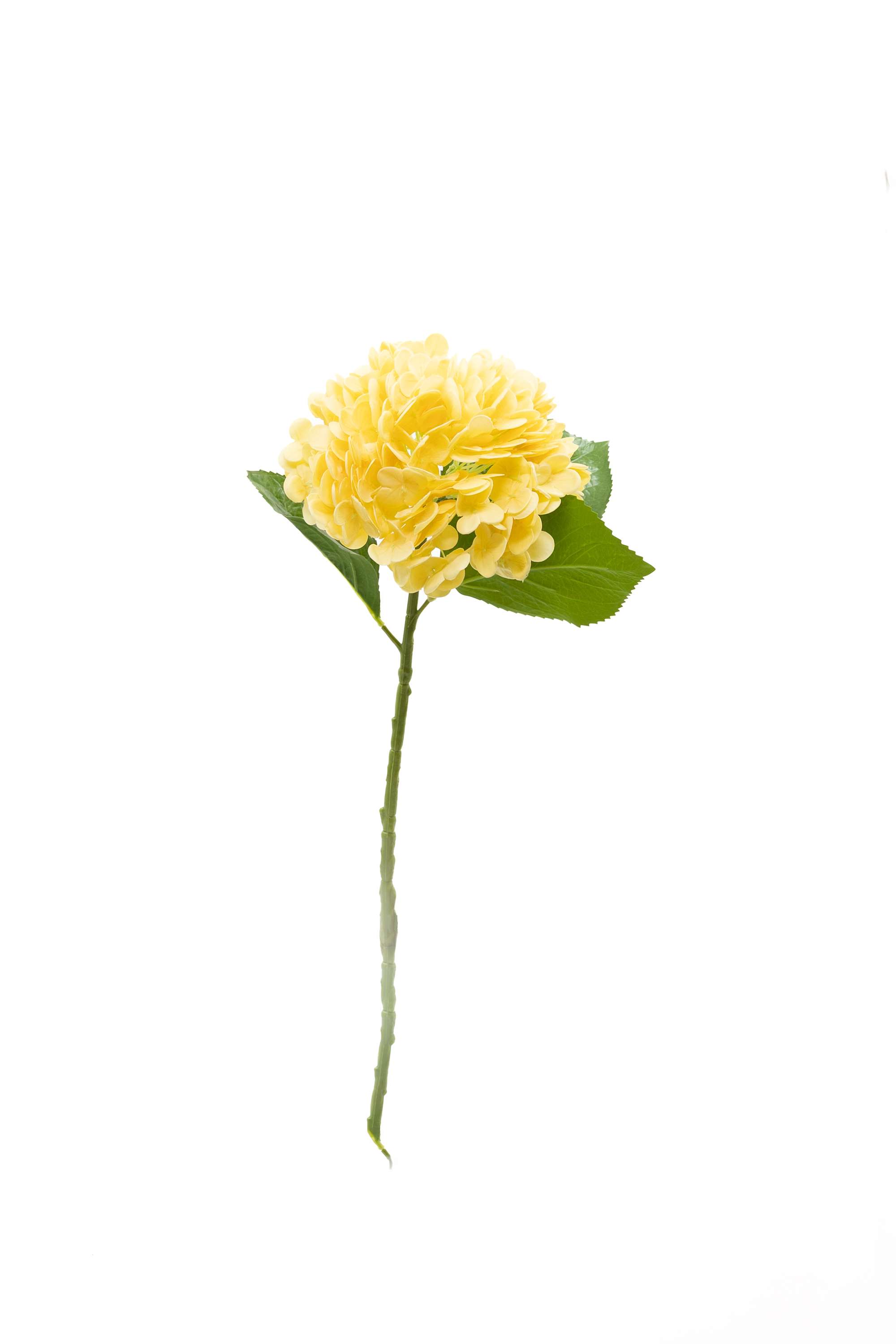 Florasilk-hydrangea-flower-stem-yellow-50CM