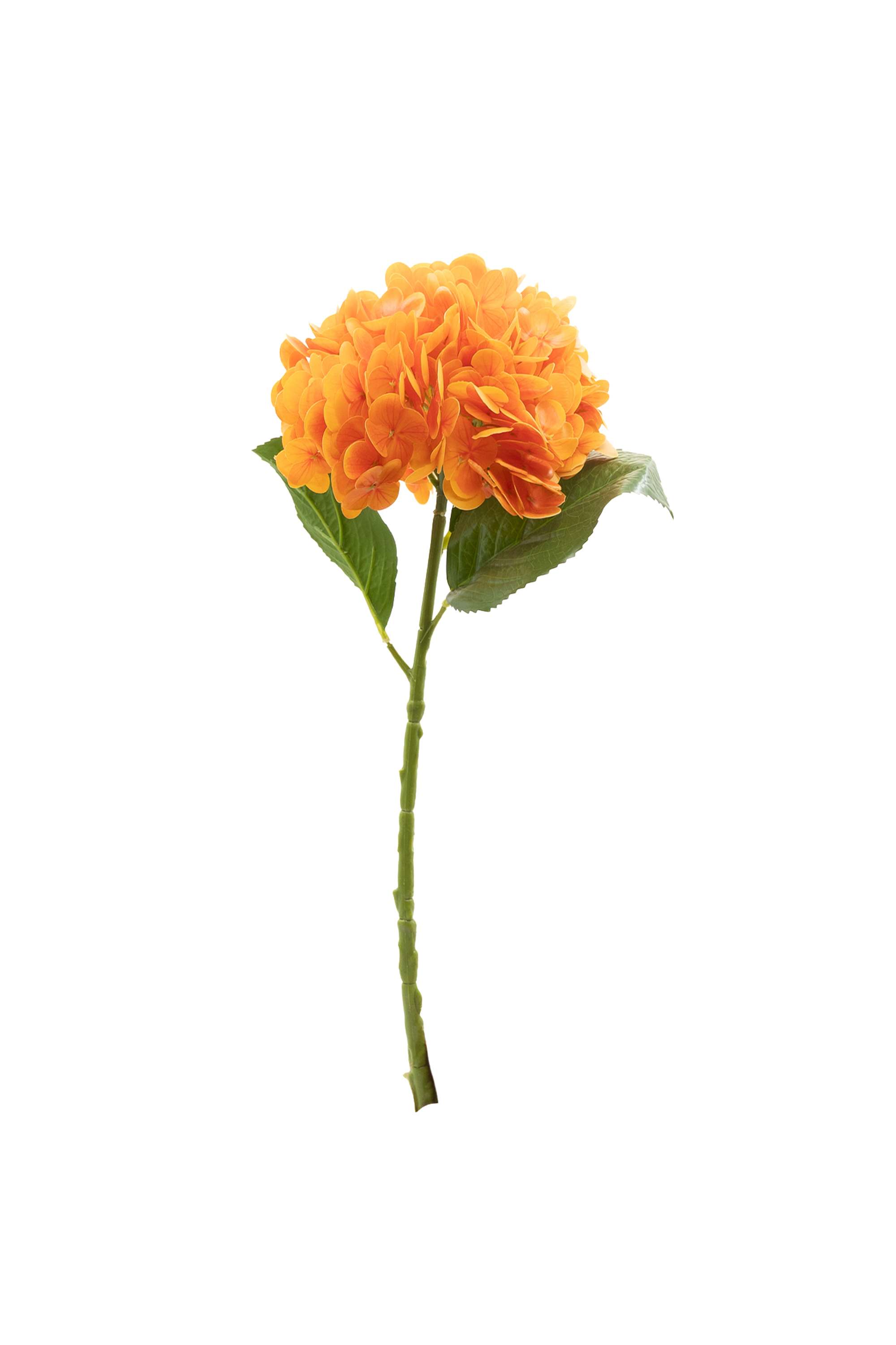 Florasilk-hydrangea-flower-stem-peach-50CM