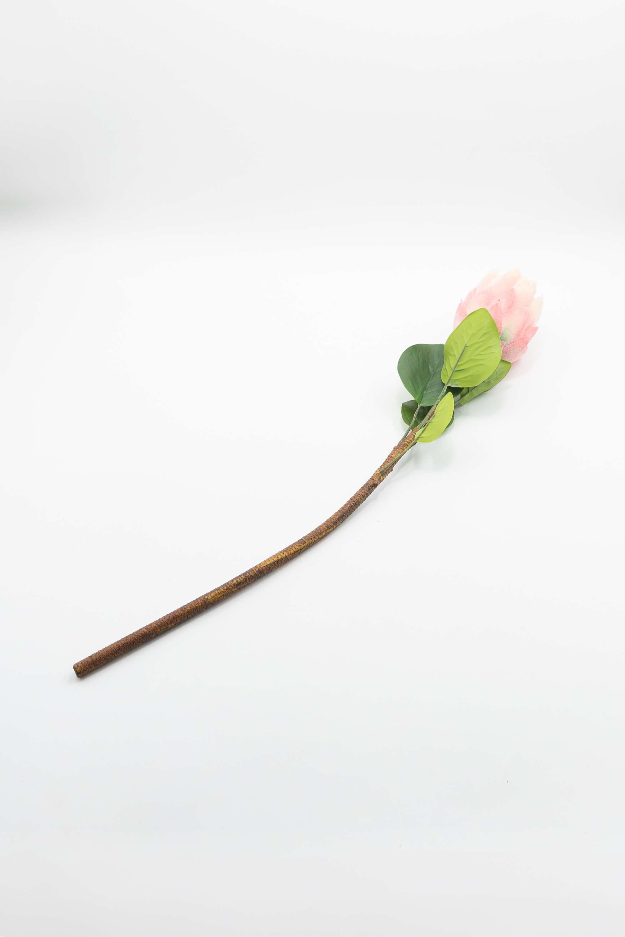 Florasilk-Protea-Flower-Stem-Pink-67Cm