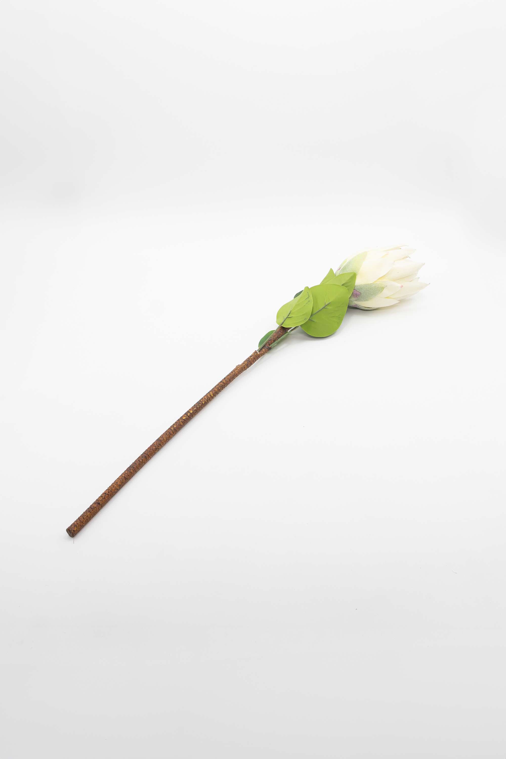 Florasilk-Protea-Flower-Stem-White-67Cm